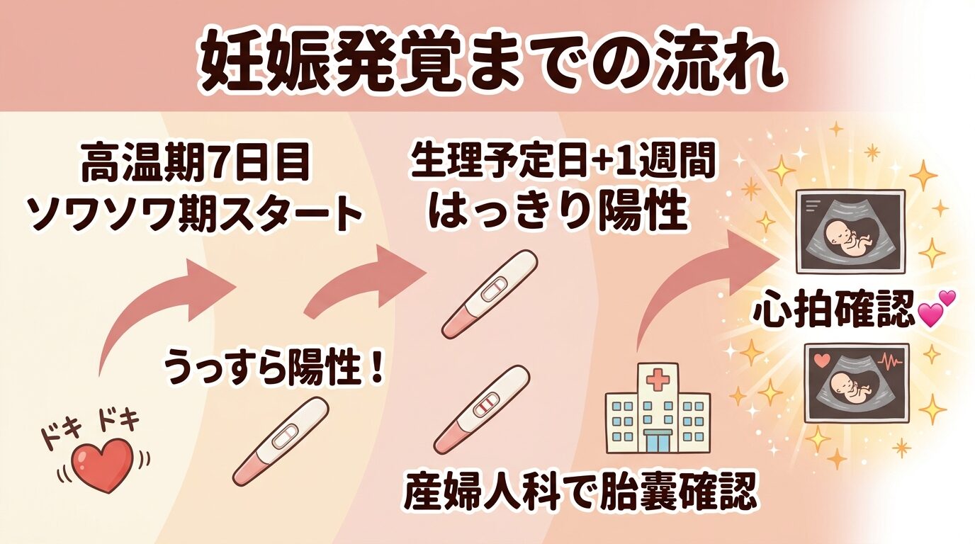 妊娠発覚までの流れ タイムライン