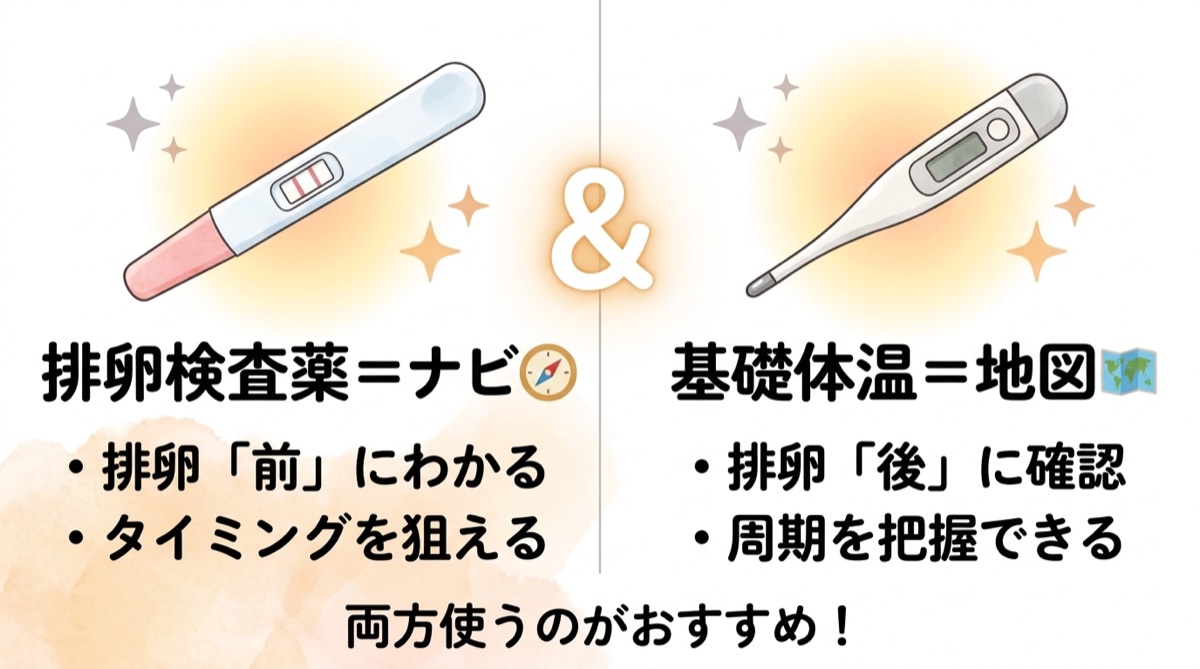 排卵検査薬はナビ、基礎体温は地図の図解